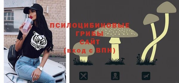 PSILOCYBIN Армянск