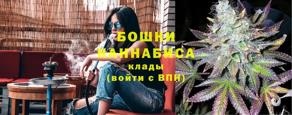 PSILOCYBIN Армянск