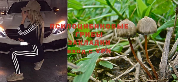 PSILOCYBIN Армянск
