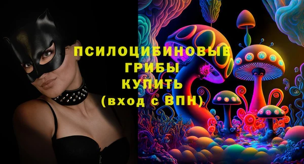 PSILOCYBIN Армянск