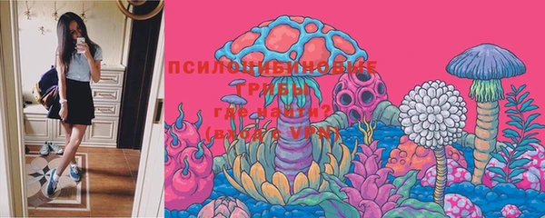 PSILOCYBIN Армянск